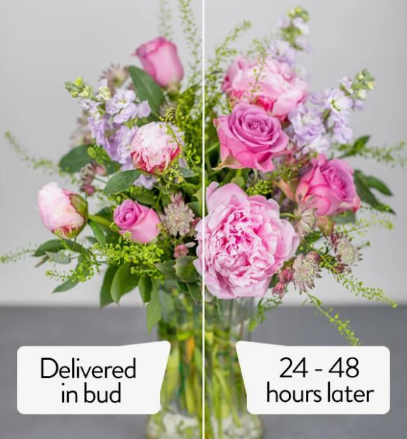 What does delivered in bud mean? Teleflorist
